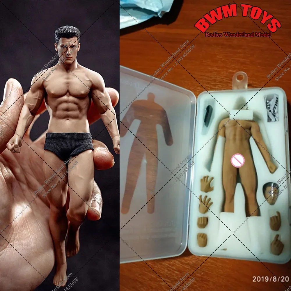 15.3cm HICEN TBLeague TM01A/TM02A 1/12 Scale Super Flexible Strong Male Seamless Head Body Action Figure Model for Fans Gifts