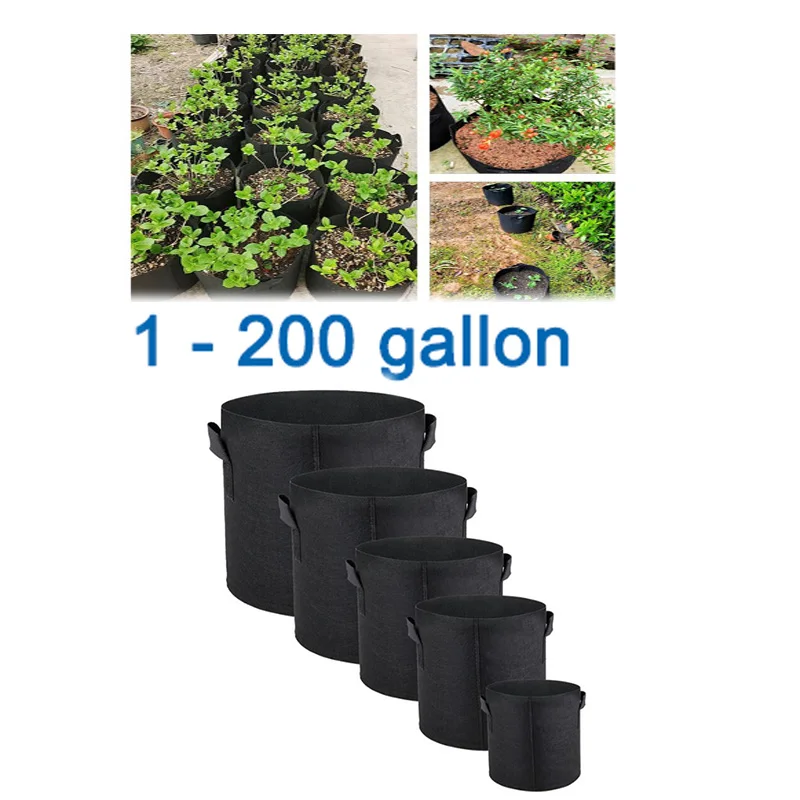 1 2 5 10 15 100 150… - image