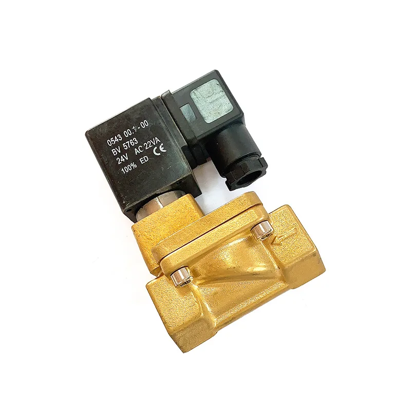

Bleeding Solenoid Valve 1089064114 Air Compressor Accessories