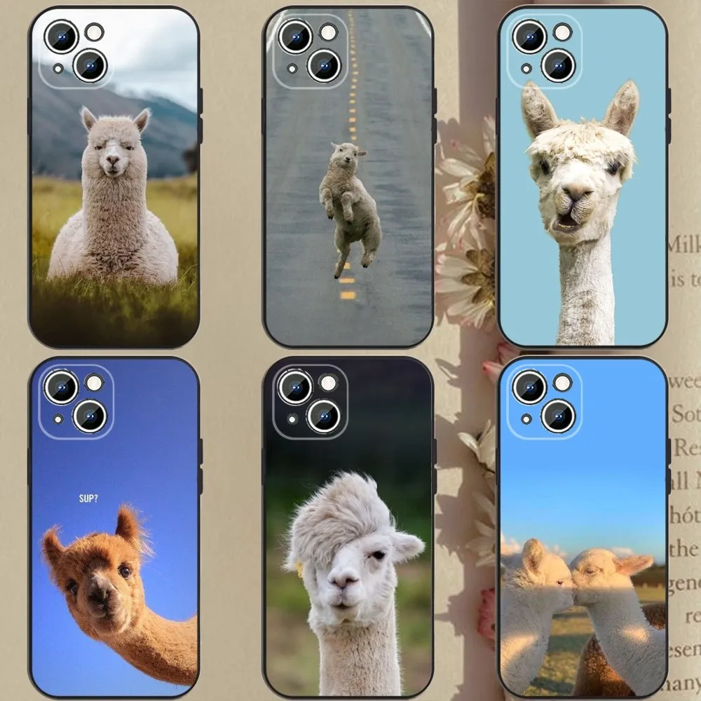 Lama Llama Alpaca  Phone Case Phone Case For Apple iPhone 15,14,13,12,11,XS,XR,X,8,7,Pro,Max,Plus,mini Silicone Black Cover