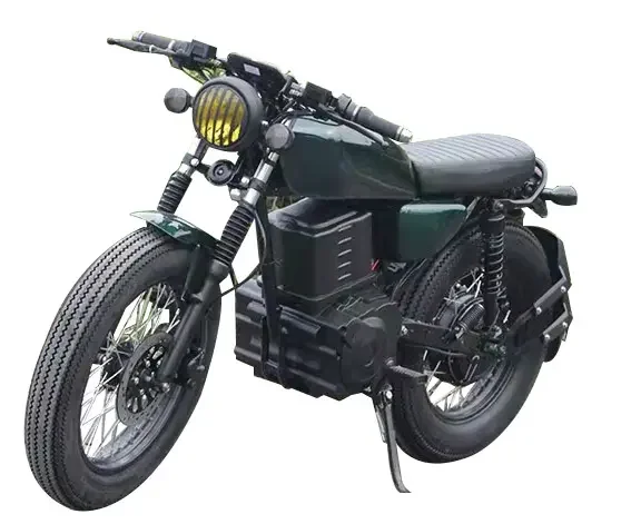 

The latest new energy lithium battery high speed New arrival good quality fashion model retro electric motorcycle 2000W