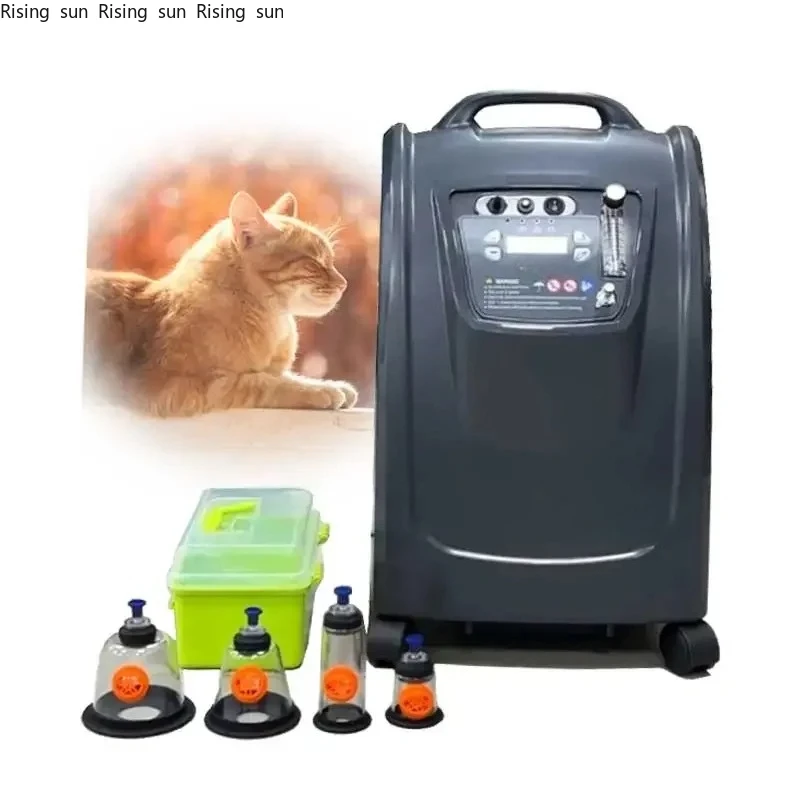 

Medical Grade Veterinary Concentrator 5l Small Equipment For Dogs Cats