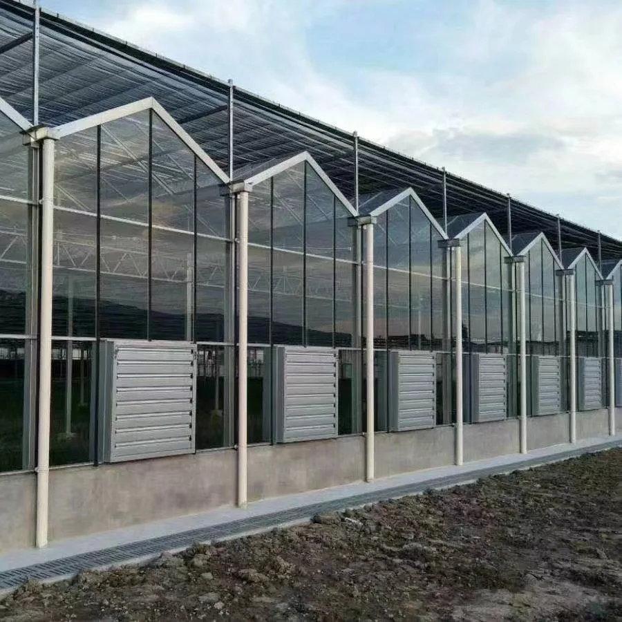 2025New ARRIVAL Strong WIND Resistance Green House กระจกนิรภัย Multi-Span เรือนกระจก Roll Up สําหรับ Organic Farming