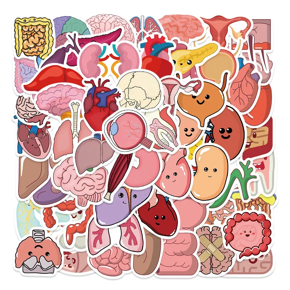 10/65PCS Cartoon Human Body Organ Stickers Waterproof Sticker Anatomy Map Decals for Water Cup Laptop Luggage Phone Kid Toy Pack