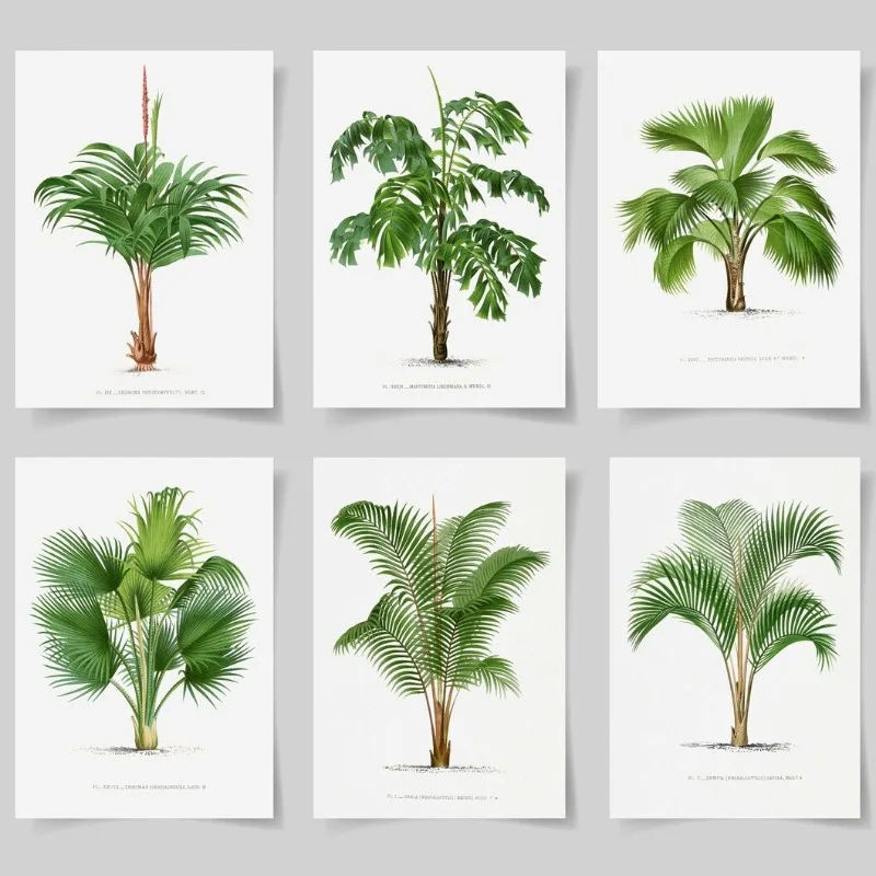 Modern Garden Palm Trees Poster Wildflower Floral Tropical Botanical Canvas Painting Wall Art for Living Room Home Decor Mura