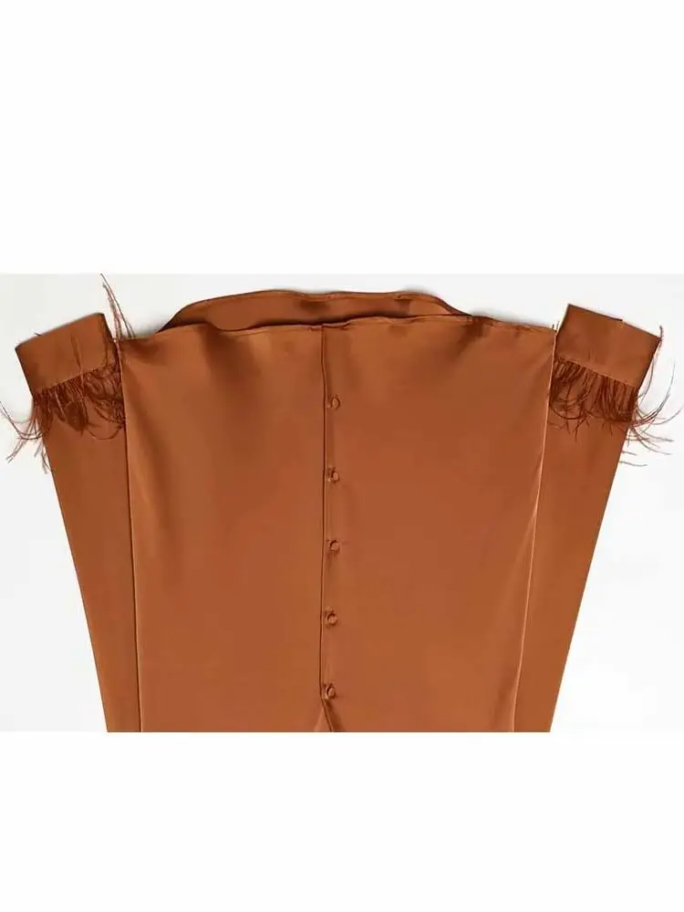 

HH Woman Early Spring Fashion Feather Decoration Silk Satin Texture Long Sleeves Lapel Single Breasted Shirt Female Casual Tops