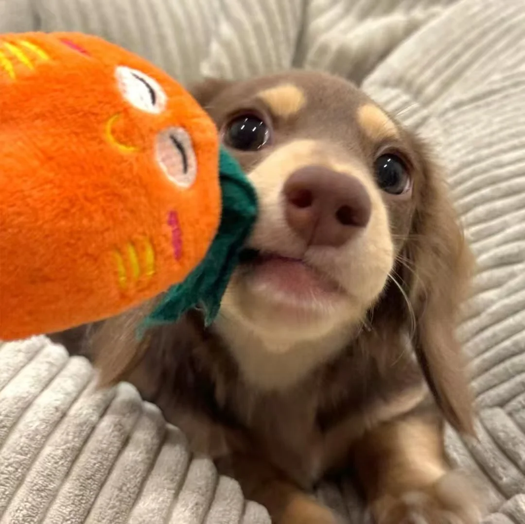 3000 واط 808 الكسندريت إزالة الشعر آلة ليزر ديود تجميد Pointpainless الجليد البلاتين تحت الإبط آلة إزالة الشعر الدائم غير مؤلم