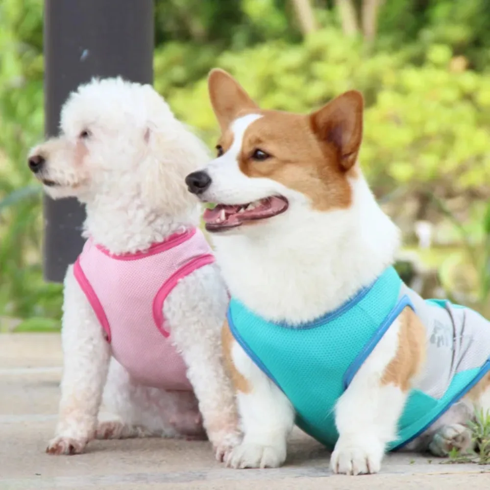 Summer Pet Dog Clothes Breathable Cooling Reflective Vest Small Medium Large Dog Puppy Cooling Quick Dry Summer Vest Pet Clothes