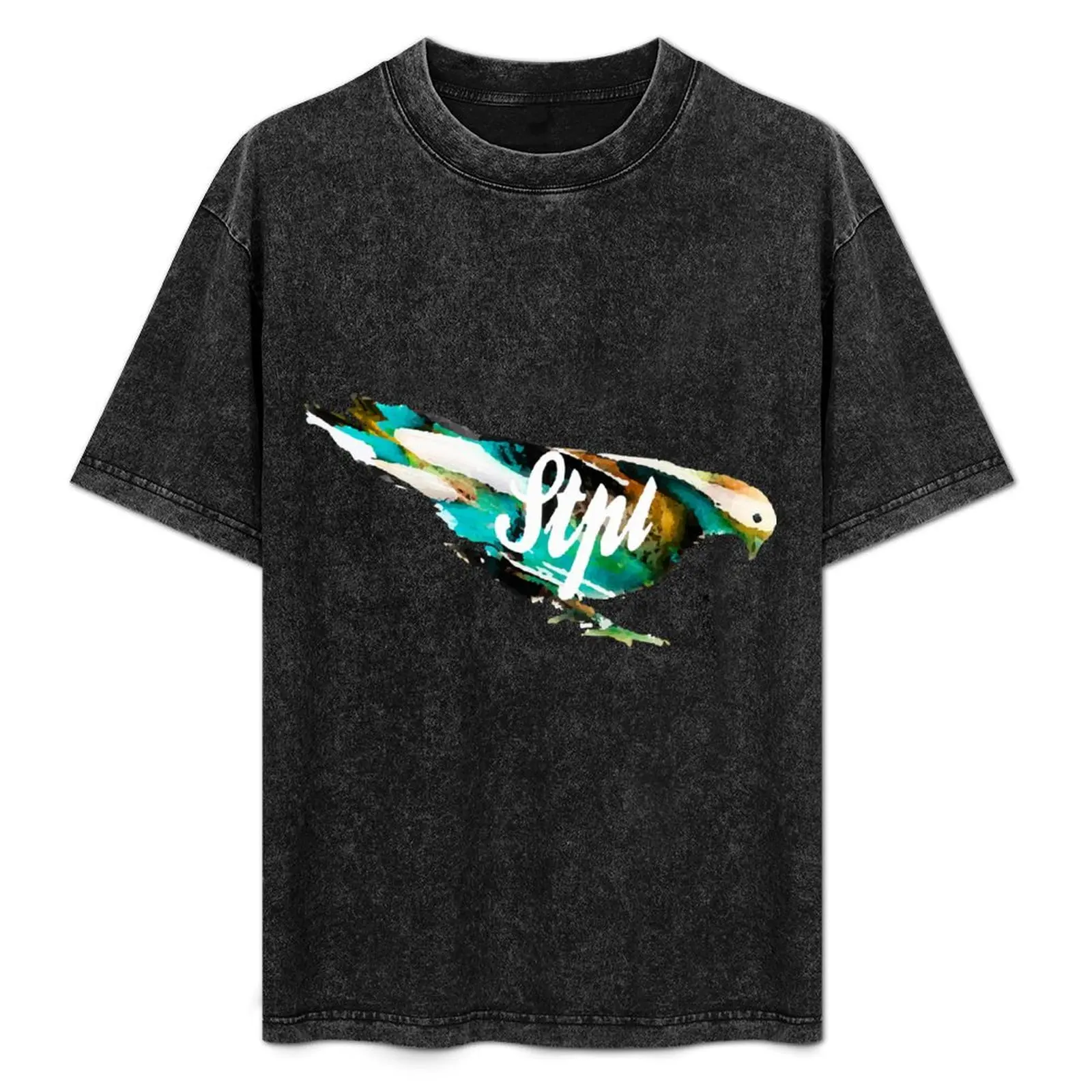 

Staple Pigeon Colors T-Shirt graphics tees men workout shirt