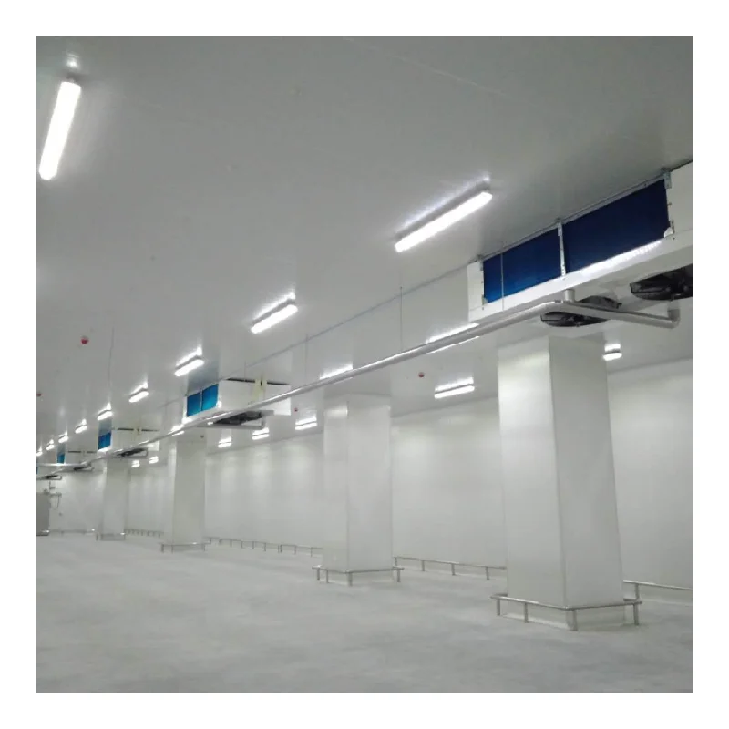 Maßgeschneiderter Industriekühler, Gefrierschrank, Lagerung, Transport, Kühlraum, Gefrierschrank, Walkin-Kühler, Direktverkauf ab Werk