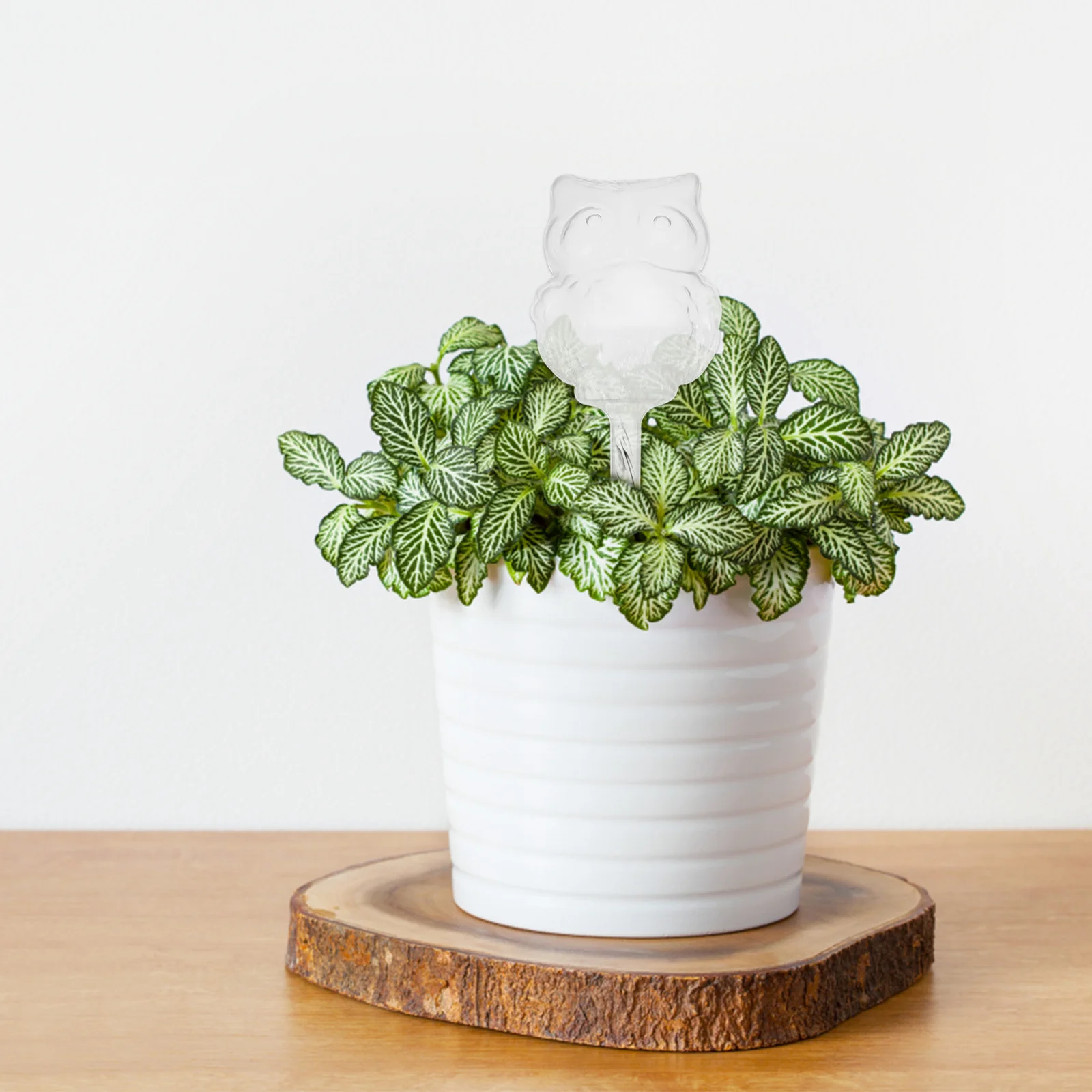 

4Pcs Watering Globe Automatic Plant Device Owl-Shaped Decorative Tool for Home Garden Balcony Self-Watering