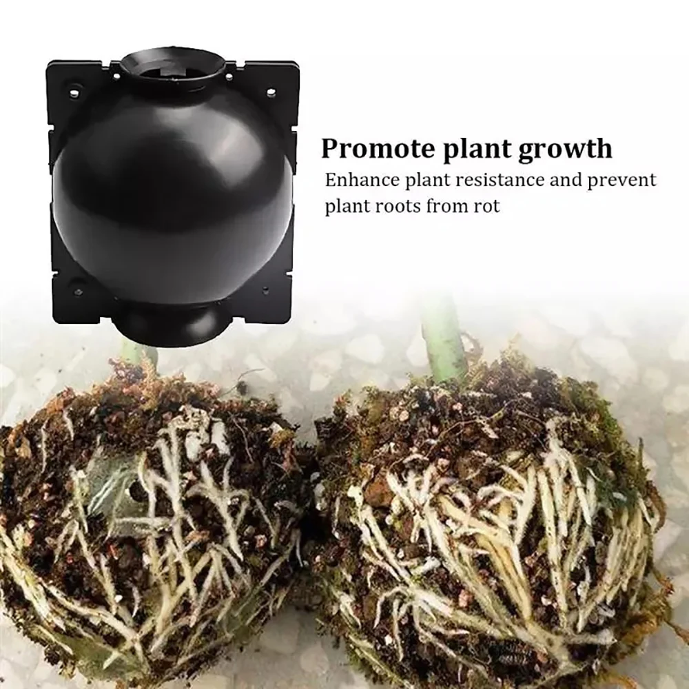 1/6/12Pcs Reusable Plant Root Growing Box Cutting Grafting Rooting Ball Garden Rooting Propagation Ball S Breeding Equipment