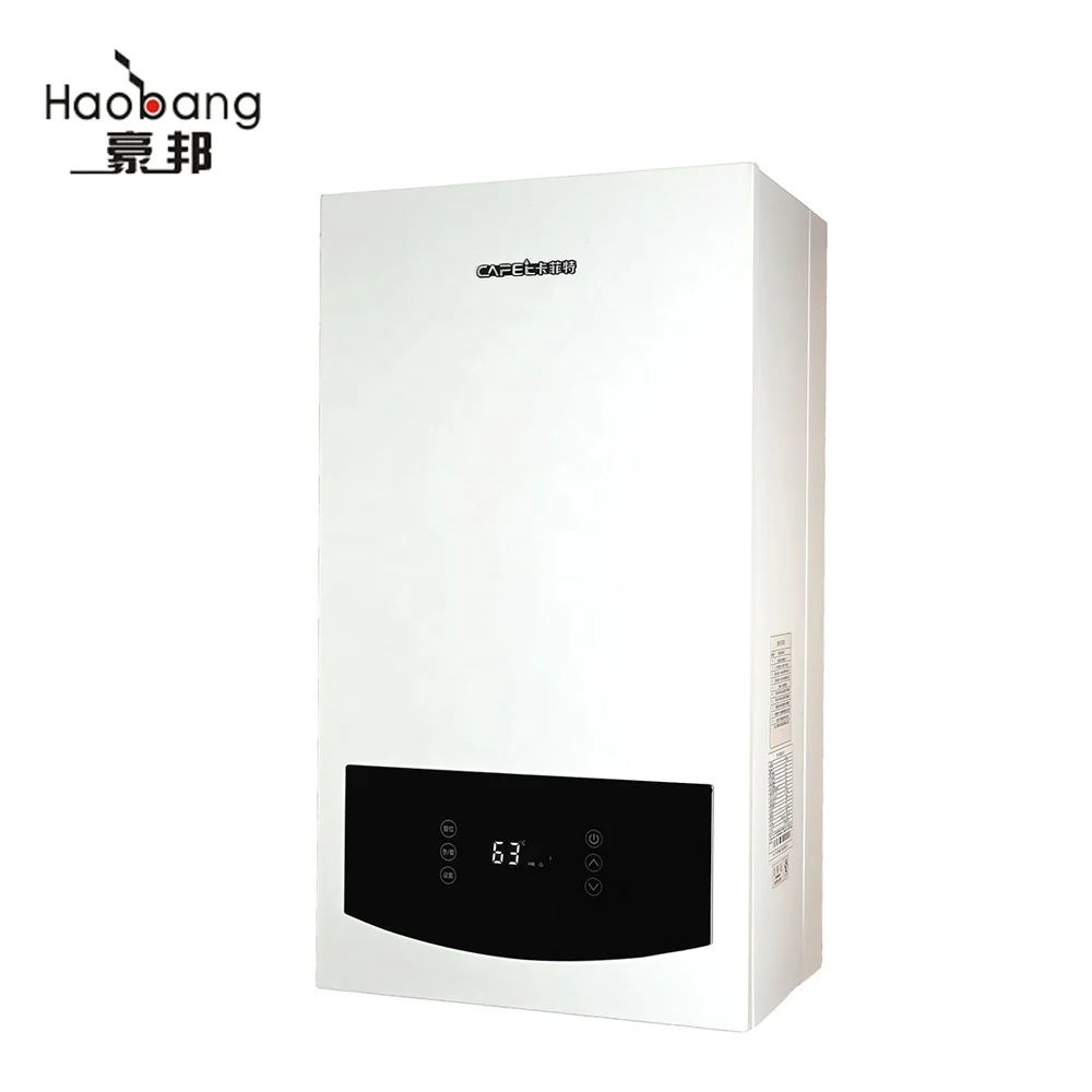 Domestic Steel Storage Tankless Natural Gas Boiler For Heating System Portable Wall-Mounted For Household Shower Water Usage