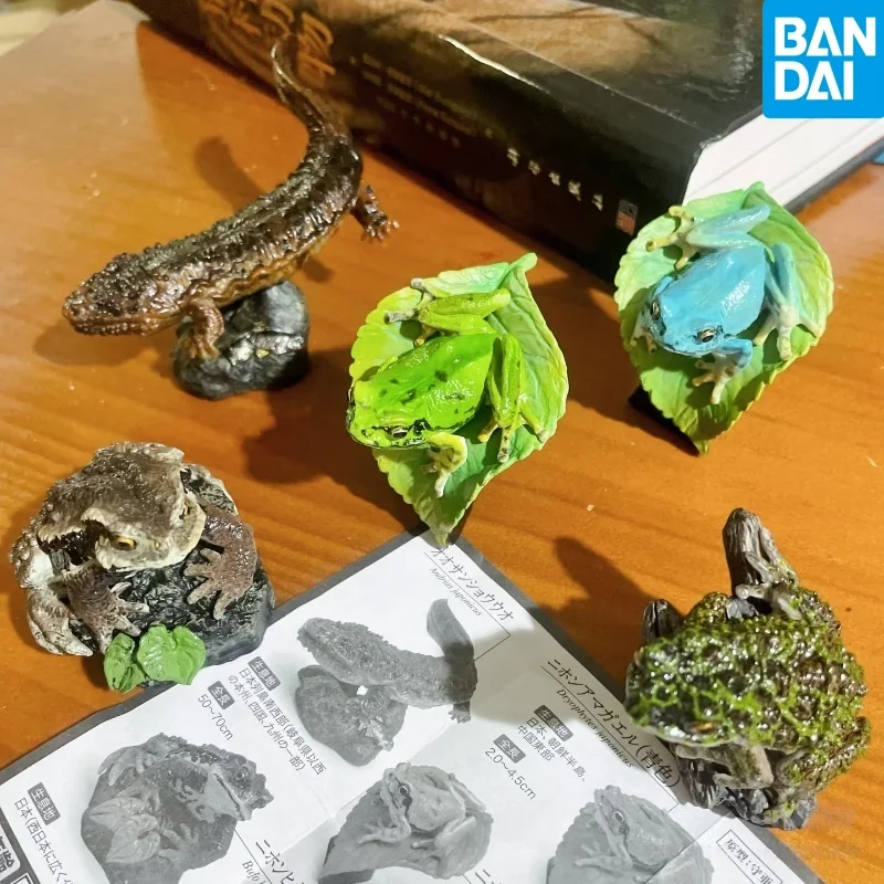 

Original capsule toys Mini Collection Amphibian 01 tree frog giant salamander toad stone leaves stand ornaments gashapon figures