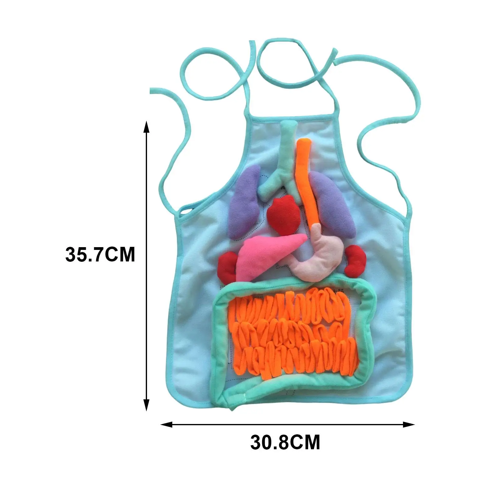 Removable Human Organs Plush Apron for Kids Body Parts Teaching Aid Preschool Learning Tool