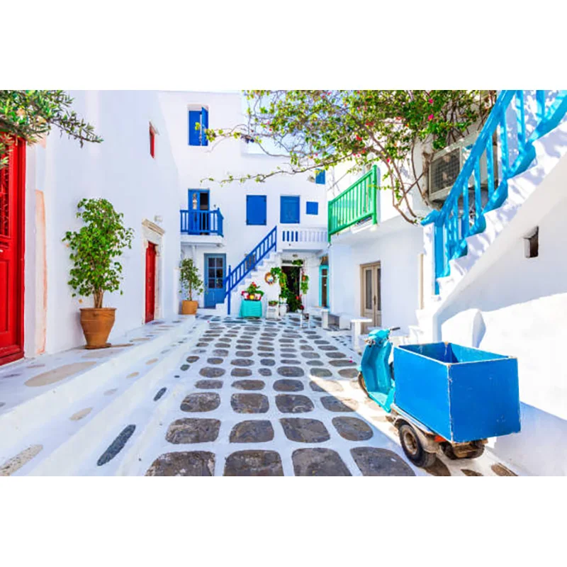 ZHISUXI piante verdi e case tradizionali fiori primaverili sulle strade della piccola città fotografia sfondo Prop XZ-08