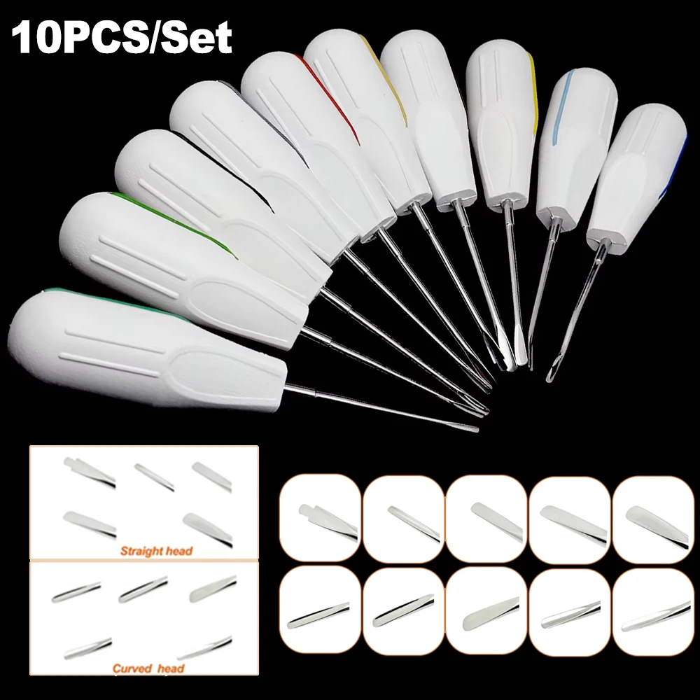 10Pcs Dental Elevator Kit Stainless Steel Tooth Extractor Curved/Straight Root Elevator Oral Surgery Tools Dentist Instruments