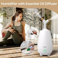 SEJOY Ultrasonic Humidifiers For Bedroom Room Office Cool Mist Air Humidifier 5L