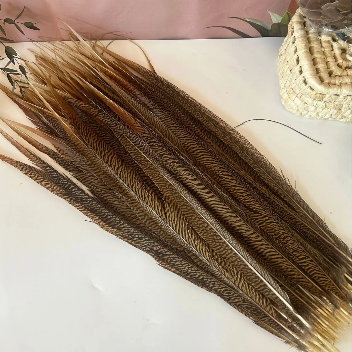 10 قطعة ريش ذيل الدراج 15-60 سنتيمتر الريش الطبيعي DIY بها بنفسك الحرف عيد الميلاد ديكور المنزل Headbands