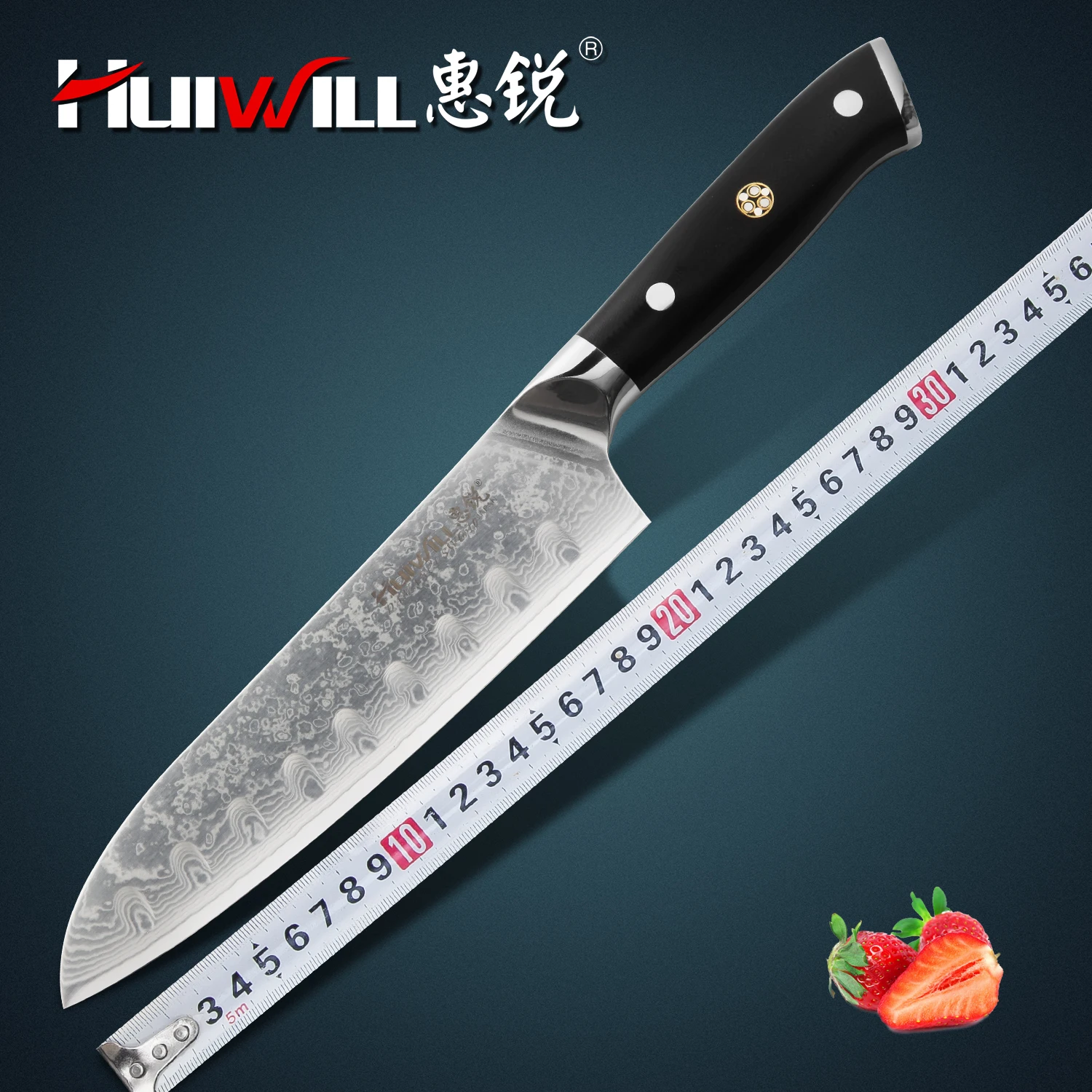 Luxury 67 layers Japanese VG10 Damascus steel Santoku kitchen knife set Fish carving Knife Fruit knives with Mosaic Rivet Handle