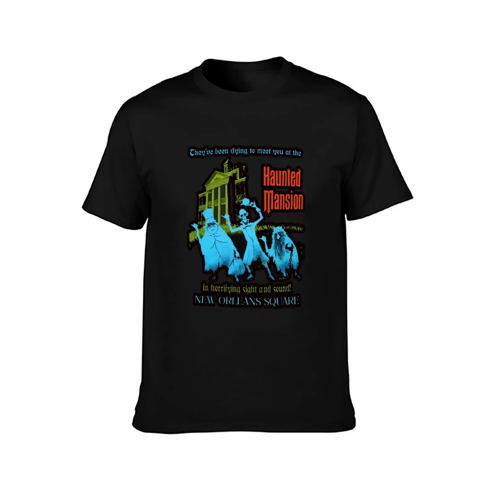 Retro Vintage The Haunted Mansion Hat Box Halloween ShirtCute Graphic Gift T-Shirt Simple Graphic