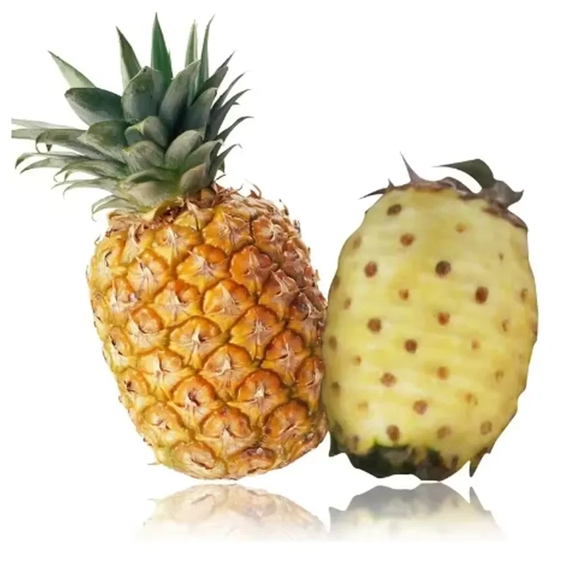 for Pineapple Peeling Machine Automatic Pineapple Peeler Vendi G Model Fruit Peeling and Coring Device Kitchen Tool