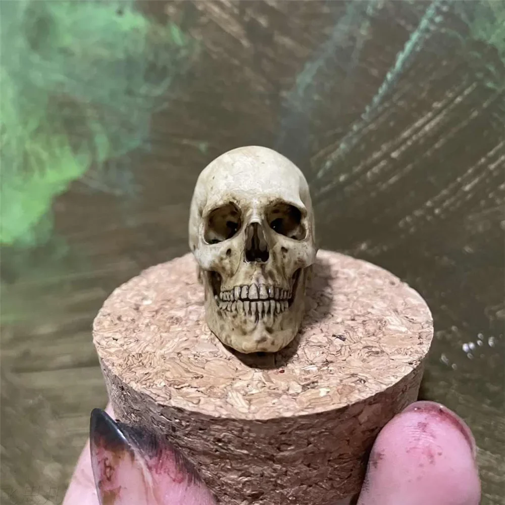 Modelo de esqueleto con impresión 3D, calavera realista hecha a mano, simulación normal 1:6, modelo de esqueleto antiguo, pecera, maceta, marioneta de mano