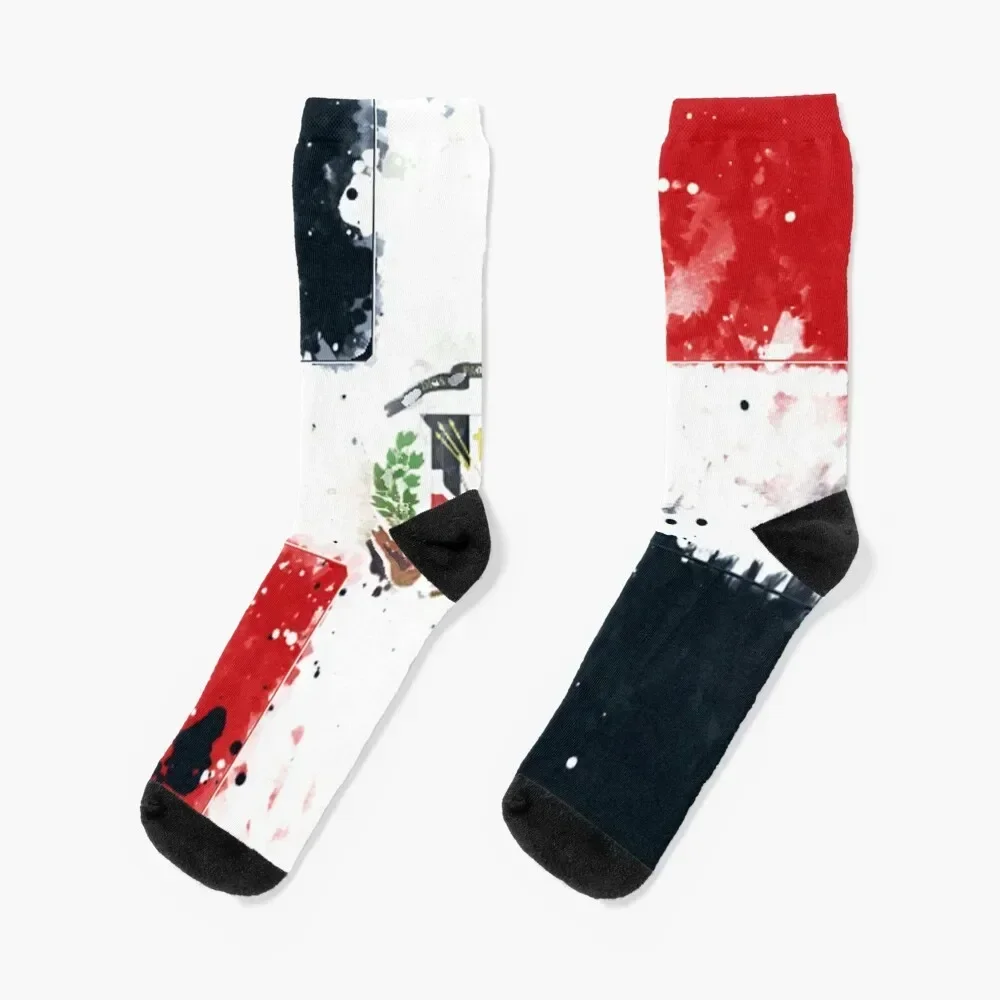 Dominican Republic Grunge Flag Socks funny gifts short Men's Socks Women's