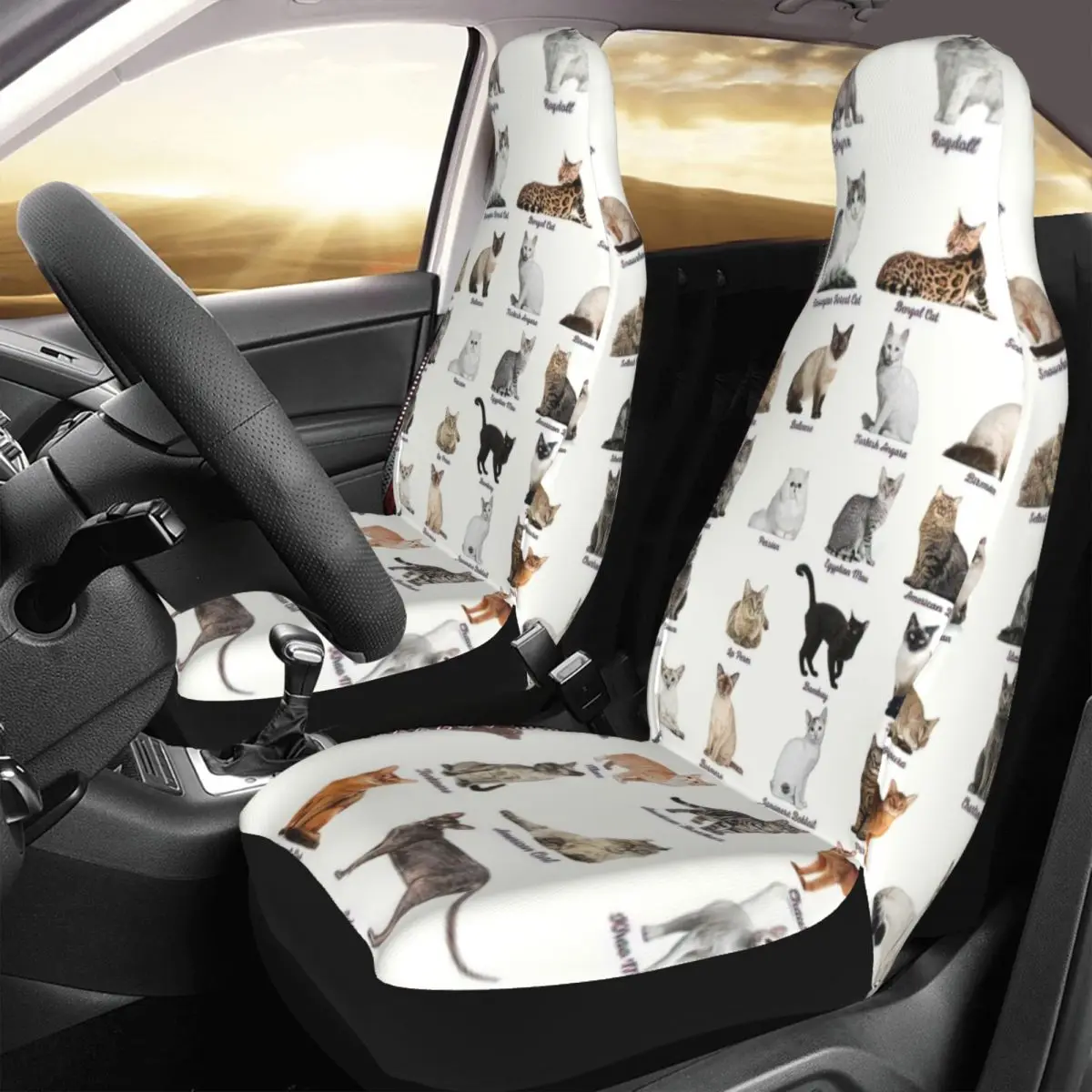 

Cat Breeds Car Seat Cover Custom Printing Universal Front Protector Accessories Cushion Set