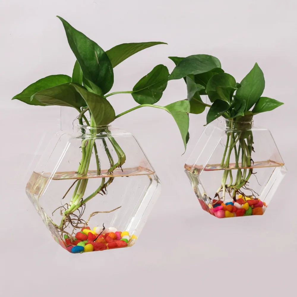 Creative Hanging Hexagonal Glass Vase Wall Mounted Fish Tank Wall Mounted Green Ivy Hydroponic Plant Container Home Decoration