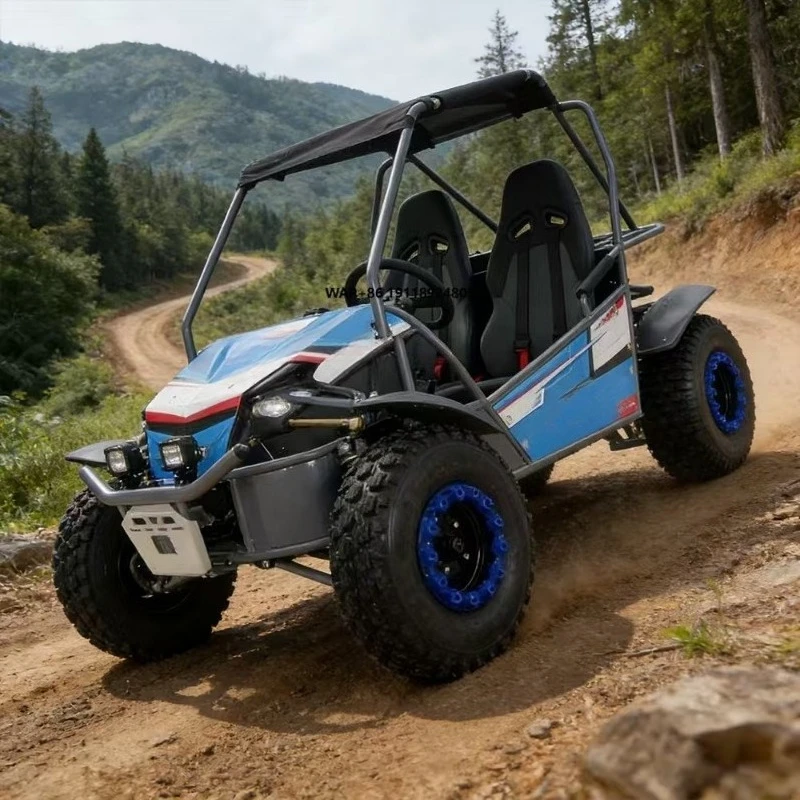 Outdoor Adventure Utv - Hot Sale 4 Stroke 2-Seater Gas
