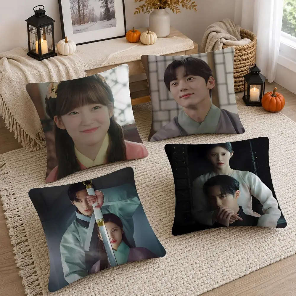 TV Series Alchemy of Souls Cushion Cover Soft Fluffy Short Plush  Pillow Case  Sofa Bed Home Decor