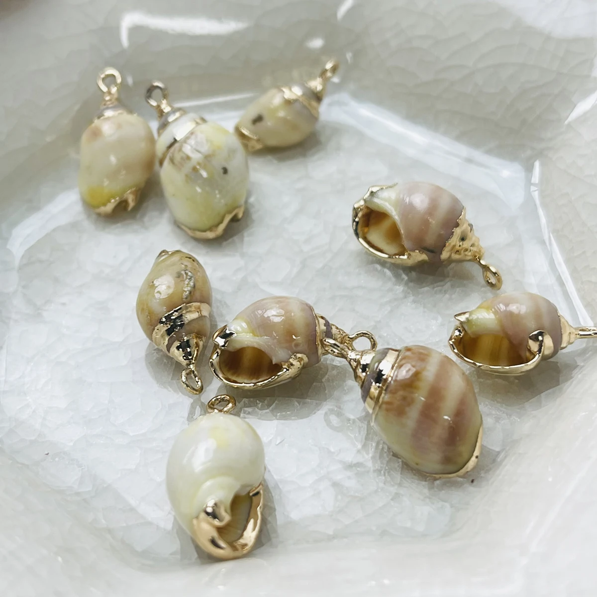 

2025 Bestseller Natural Conch charms ,DIY keychain Bracelet Necklace， Boho Beach Jewelry for Women, Summer Gift