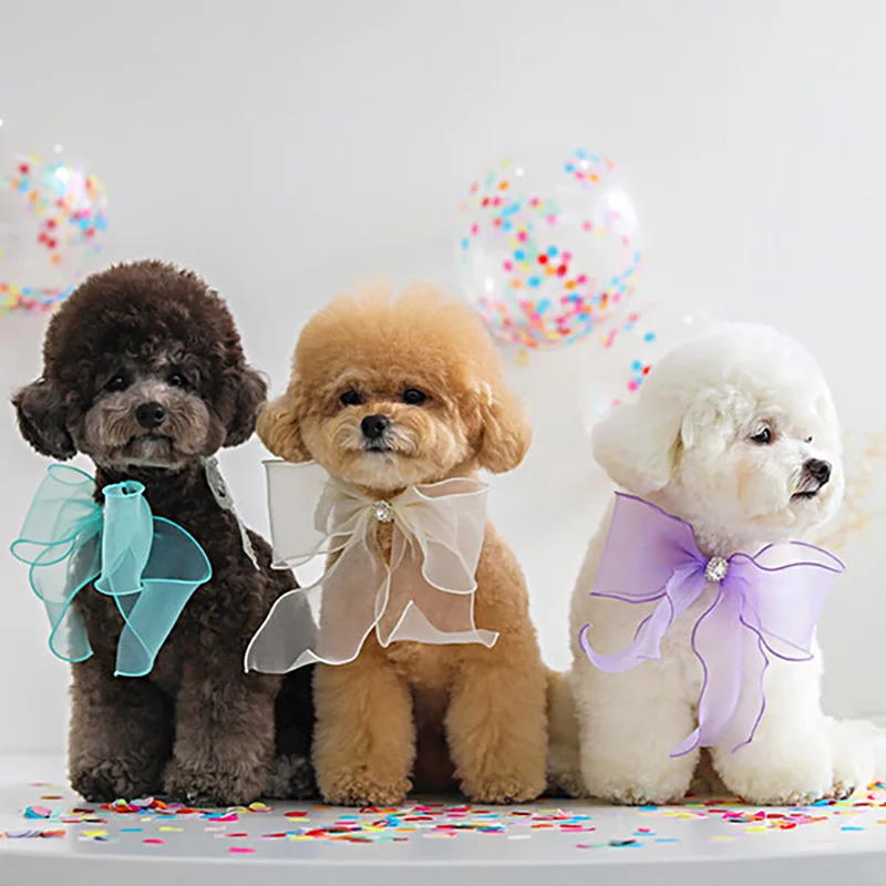 Cute Pet Dog Birthday Party Hat Wedding Hat Bow Saliva Towel Teddy Triangle Scarf Bow Pocket Bib Scarf Dog Cute Jewelry Dog Hats