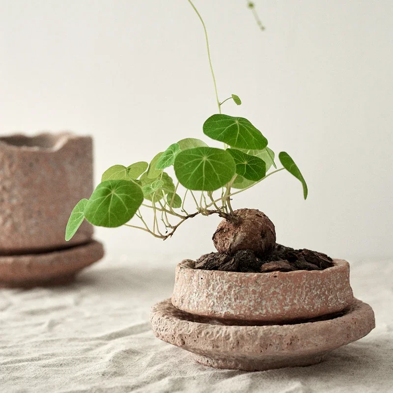 

Home handmade clay pot retro hammer pattern desktop green plant small with tray ceramic red tery