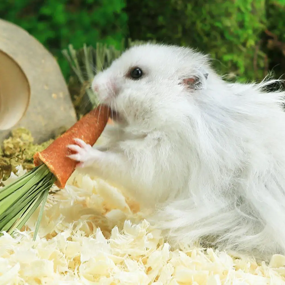 9Pcs Carrot Chewing Rods for Hamster Rabbit Small Pet Teeth Grinding Boredom Relief Chew Sticks Healthy Molar Care Pet Supplies