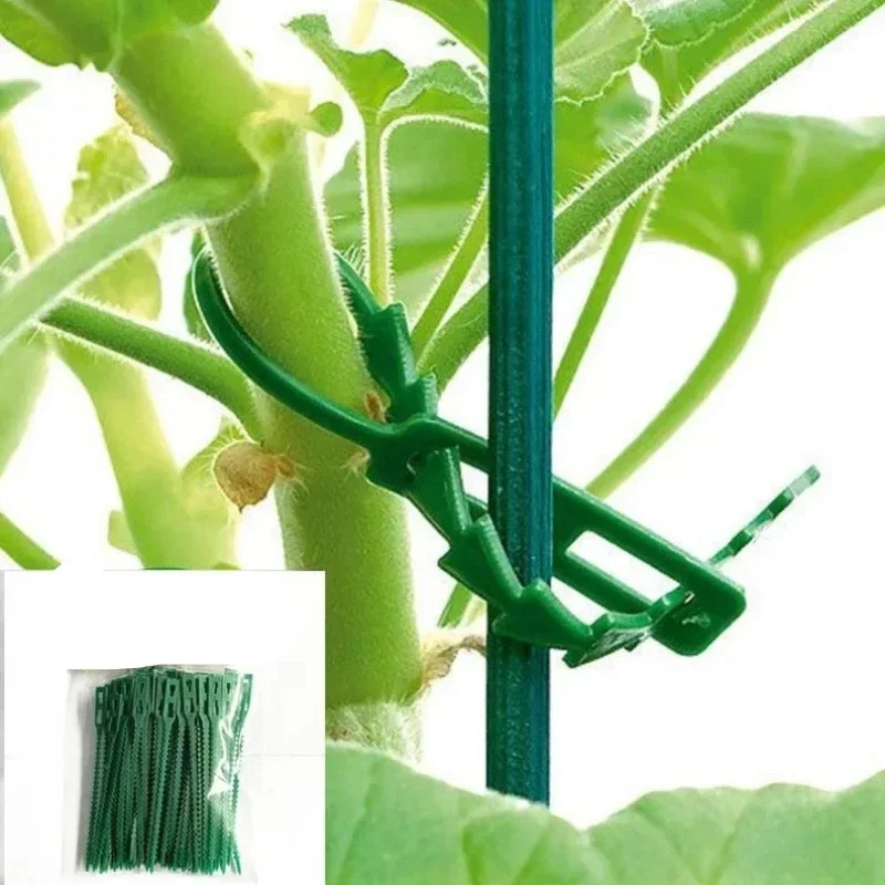 50/100pcs Reusable Garden Cable Ties Plant Vine Tree Shrubs Support Fastener Locking Nylon Adjustable Zipper Cables Ties