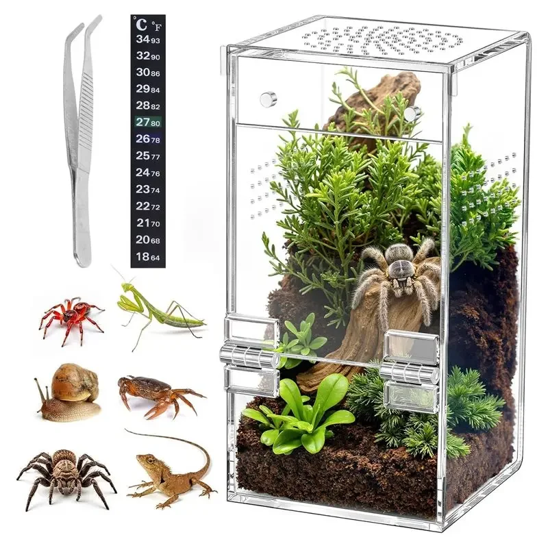 [NEW!A08R】 Easy Assembly For Reptile Terrarium In Acrylic, 360° Clear Design Keeps Pets Secure For Jumping Spiders, Tarantulas,