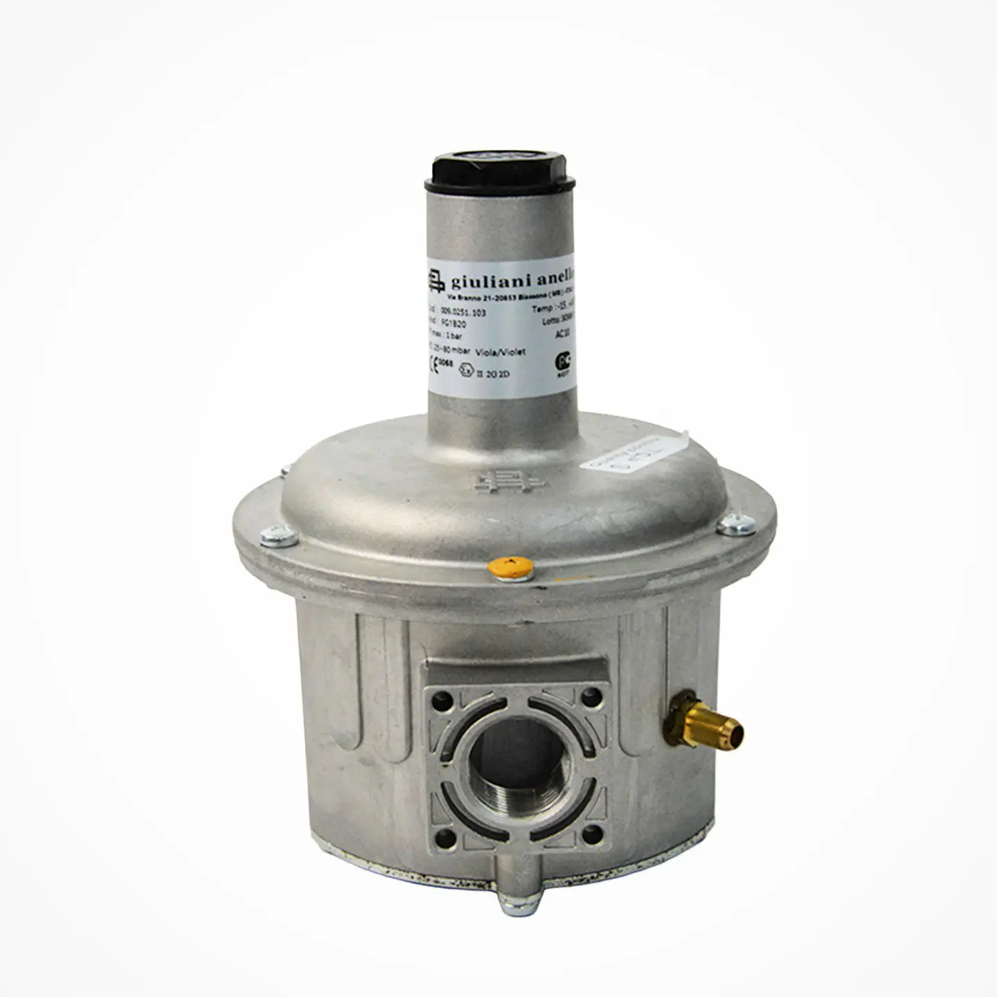 FG1B40 Gas Pressure Regulator, Inlet 1/2