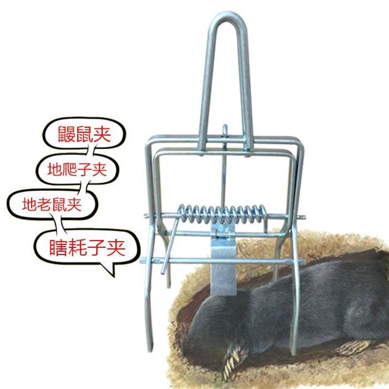 

Chicken trap, mole trap, plate , ground squirrel , zokor , blind mouse , zokor