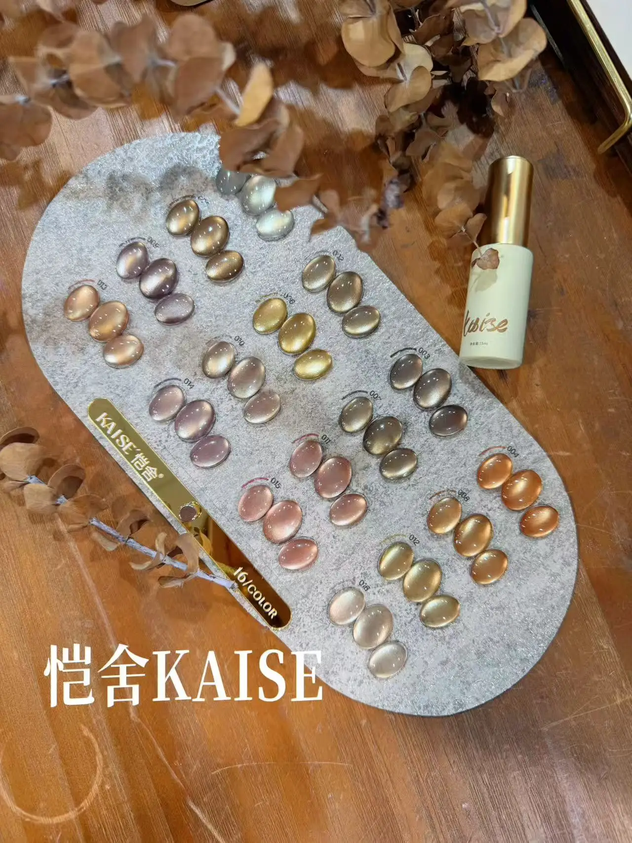 KAISE 16 Colors Moonlight Cat Eye Nail Gel Set 2025 New Hot Sale Fashion HEMA-Free TPO-Free Non-toxic UV Gel for Salon Wholesale - view 5