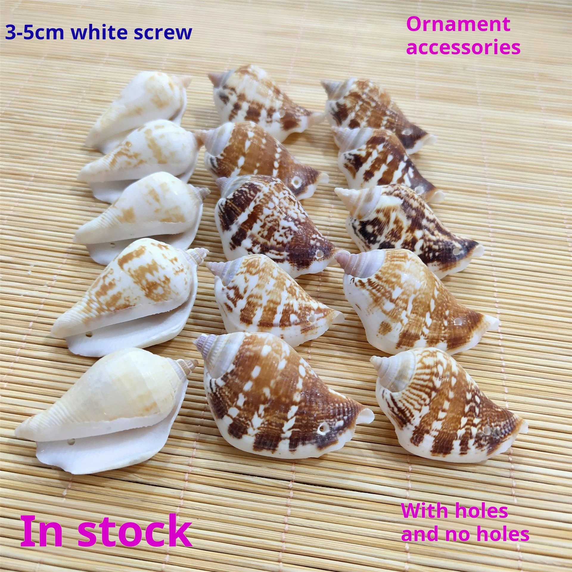 Natural Shell Crafts Jewelry Accessories, Small Hole, Punched Conch, White Mouth, 3-5cm