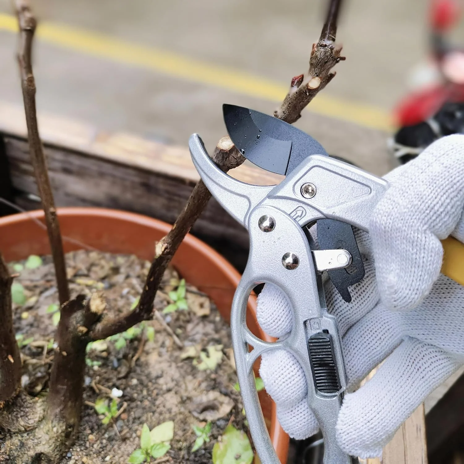 Fruit tree gardening scissors Pruning Shears Professional Bypass Pruner Heavy Duty Clippers Hedge Shears Tools