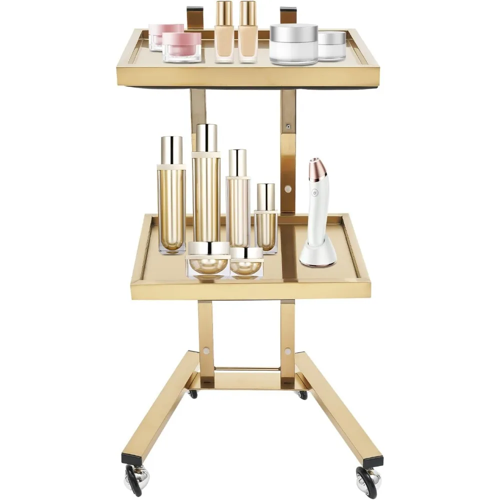 

Budget Hair Styling Salon Trolley Cart with Wheels, 2-Tier Salon Trolley, Salon Rolling Cart for Extra Hairdresser Storage, Tool