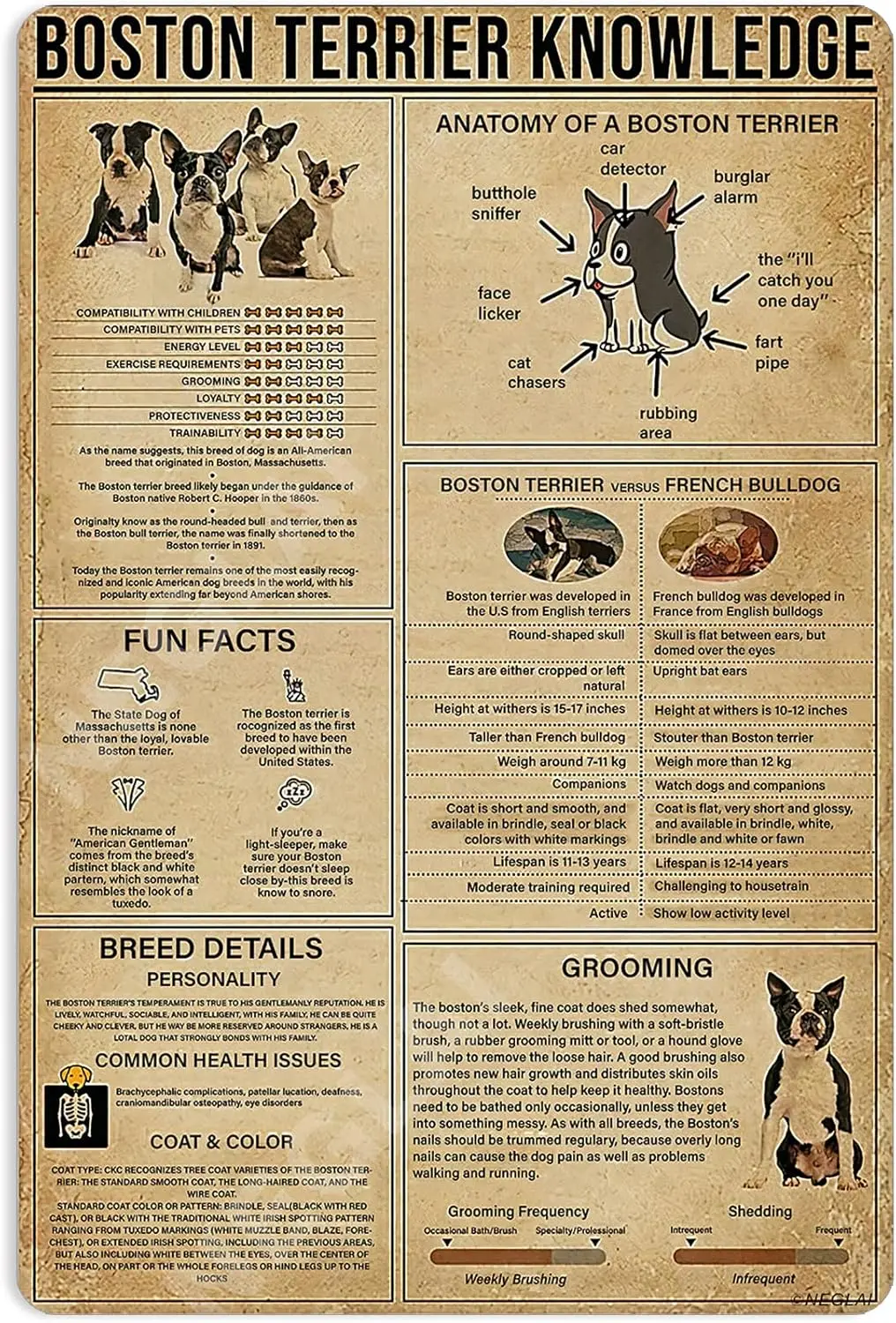 Boston Terrier Knowledge Metal Signs Poster, Vintage Decorations Wall Art Decor 16x12 Inches