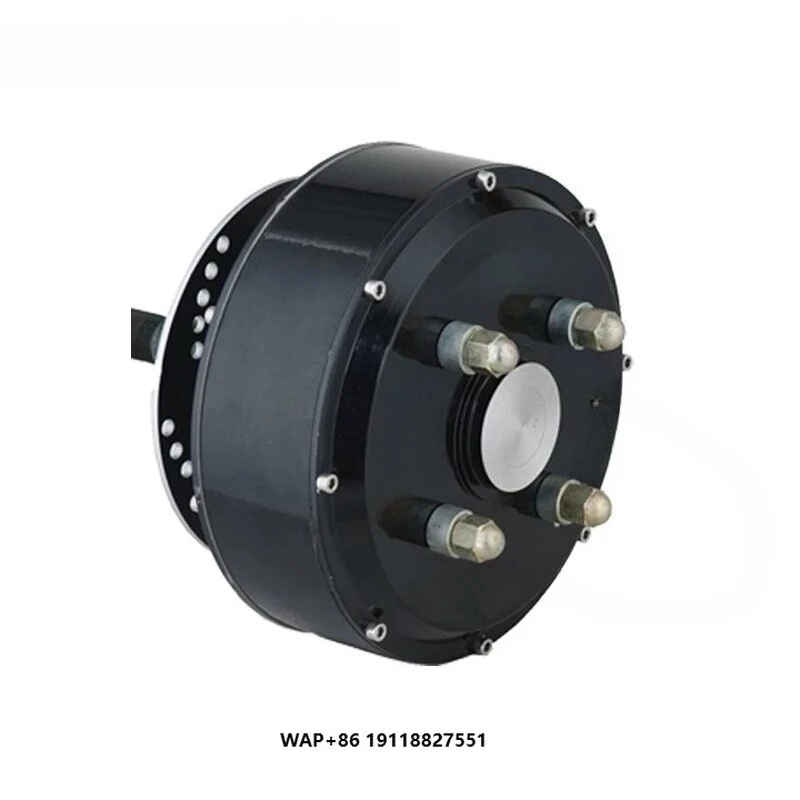 

New QS Motor E-car 205 3000W 50H V3 Electric Wheel Hub Motor IP54 Waterproof Disc Brake