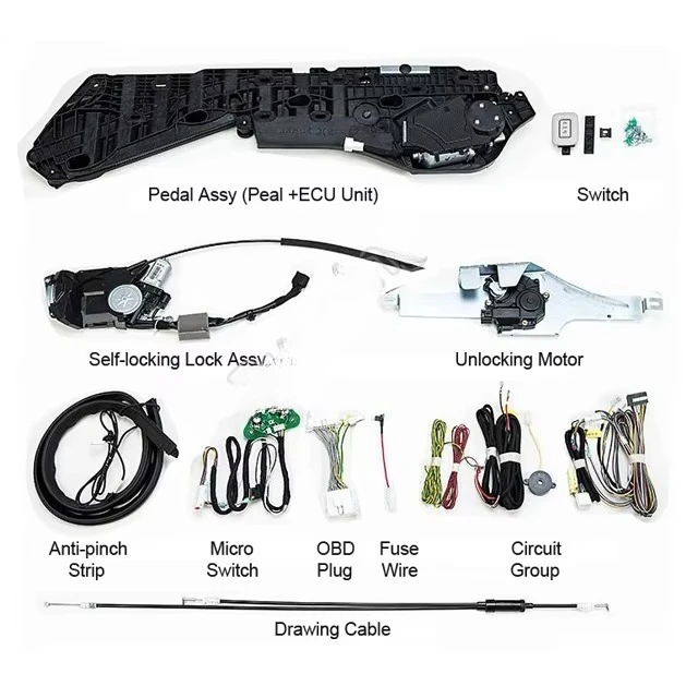 

Electric Sliding Door for Car