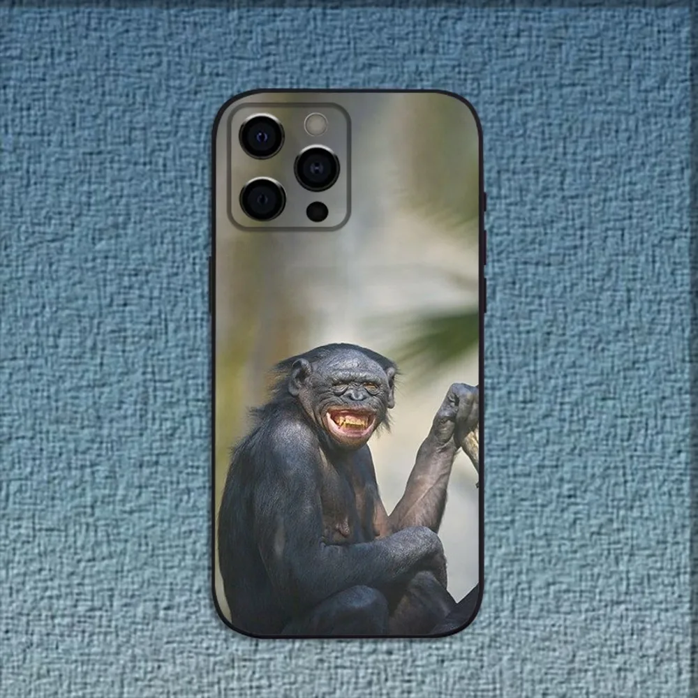 Monkey Gorilla Orangutan Funny Phone Case For iPhone 16,15,14,13,12,11,Pro,X,XS,Max,XR,Plus,Mini Soft Black Cover