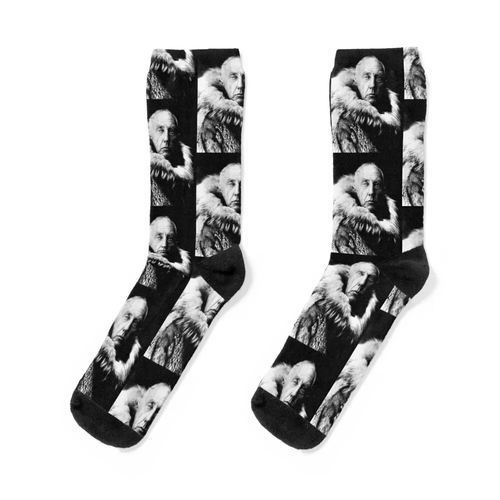 Roald Amundsen Socks cycling loose japanese fashion Men's Girl'S Socks Men's