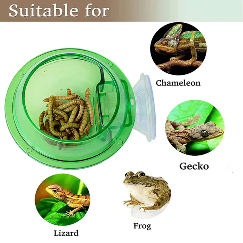 Suction Cup Reptile Feeder, Reptile Water Bowl Worm Dish Gecko Feeder Chameleon Bowl, Reptile Ledge Accessories Supplies